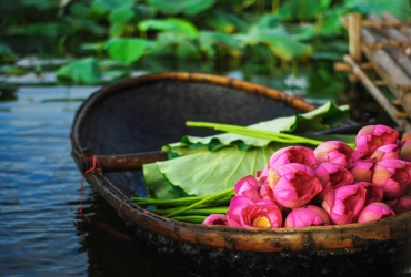 Arrivée à Hanoi 