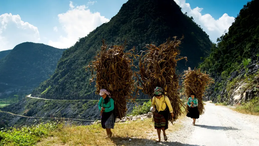 Sapa – Ham Rong – Village de Lao Chai & Tavan