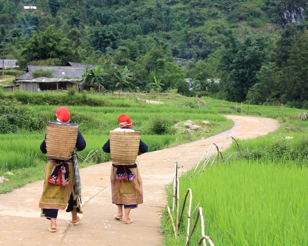 Randonnée avec les habitants près de Sapa