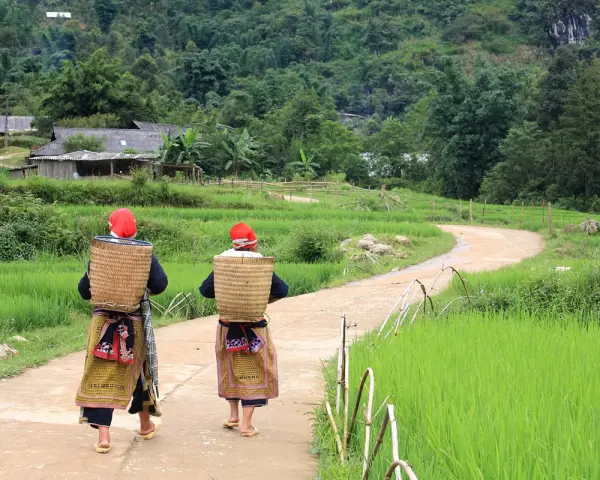 Randonnée avec les habitants près de Sapa