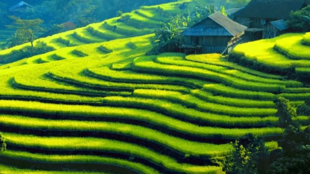 Bac Ha – Ha Giang