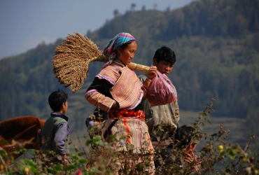 Sapa - Bac Ha  (B, L, D) ~120 km