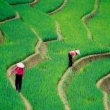 Moto dans le nord-ouest Vietnam