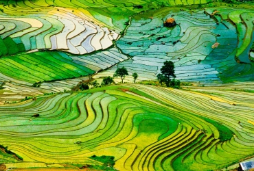 Thac Ba - Lao Cai - Sapa (B/L/-)