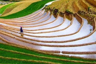 Sapa - Tam Duong (B/L/-)