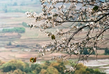 Tam Duong – Lai Chau - Dien Bien (B/L/-)