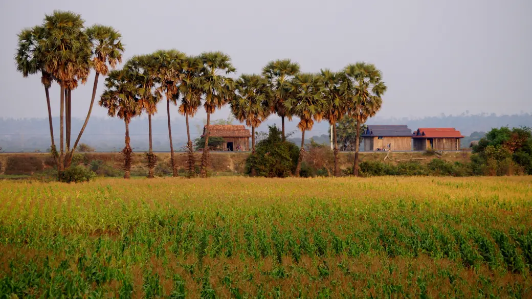 Saigon – Binh Phuoc - Kratie