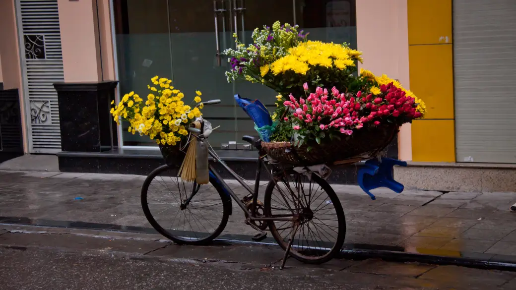 Arrivée à Hanoi - Temps de repos