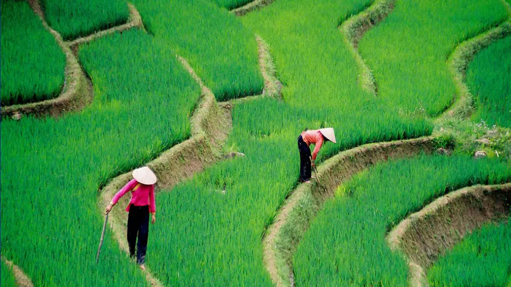 Tavan – Giang Ta Chai - Su Pan - Ham Rong