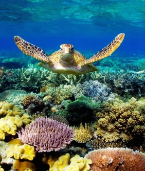 5 jours sur île de Con Dao : Île paradisiaque