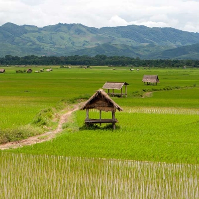 Luang Nam Tha