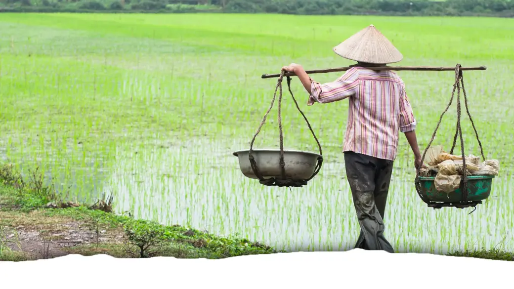 Trang An - Village de Bo Duong – Ile de cigogne