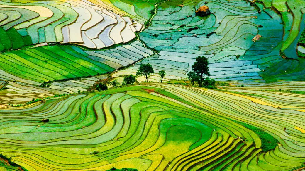 Sapa – Lao Cai - Ta Van - Train de nuit pour Hanoi