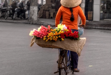 Arrivée à Hanoi (-/-/D)