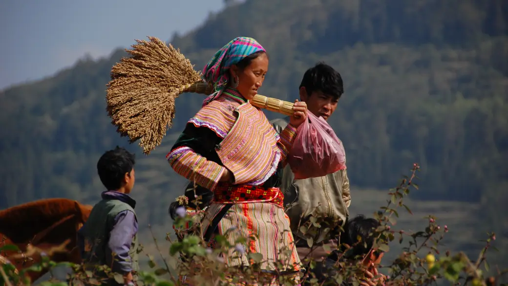 Marché de Bac Ha - Sapa
