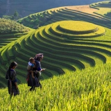 Randonnée à Lao Cai 5 jours : Sapa en immersion