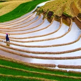 Randonnée à Lao Cai 5 jours