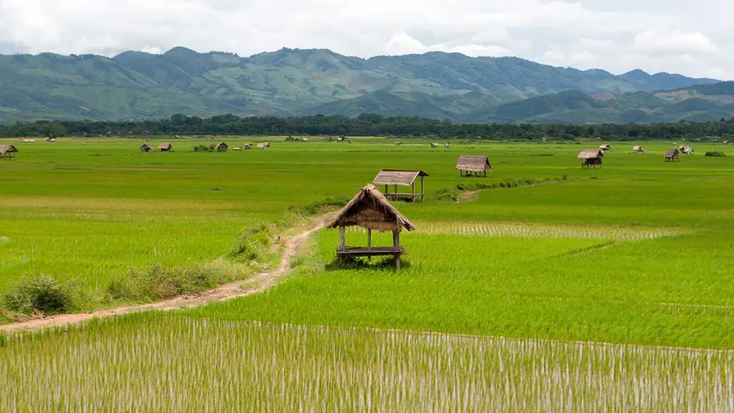 Kingfisher Eco Lodge – Randonnée pour village de Ban Ta Ong