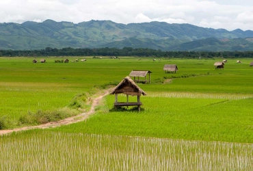 Ban Nam Goy - Ban Hat Yawng - Luang Namtha (B, L) Randonnée