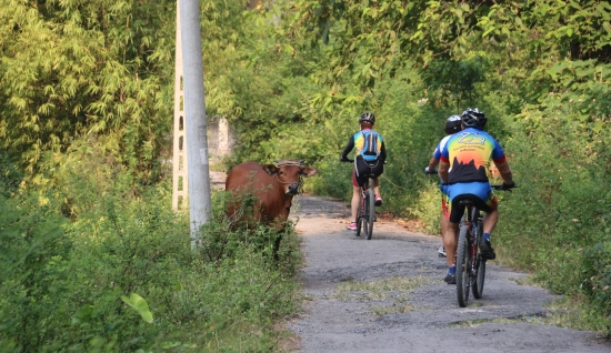 Mai Chau et Cuc Phuong à vélo 4 jours : Pédalez au Vietnam