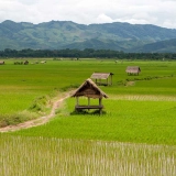 De la frontière Thaïlande au nord du Laos