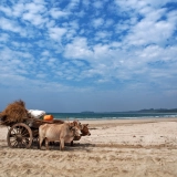 Séjour à Ngwe Saung