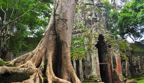Séjours Cambodge 9 jours : Route de Poipet à Phnom Penh