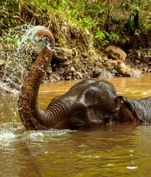 Randonnée Est Cambodge 5 jours : de Phnom Penh à Mondulkiri