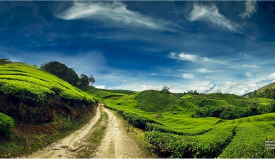 Circuit Malaisie une semaine : de Kuala Lumpur à Penang