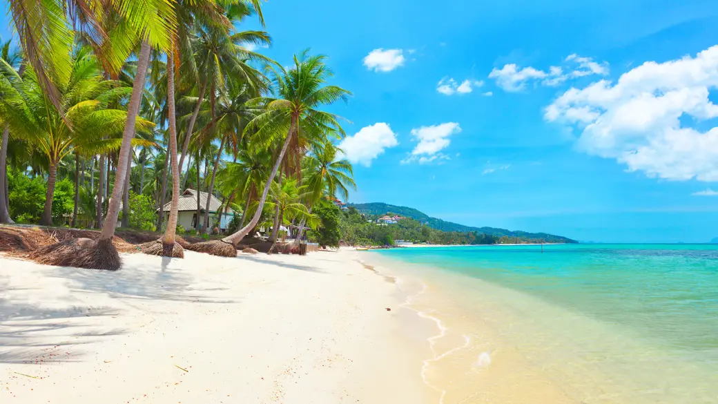 Koh Samui - Temps libre