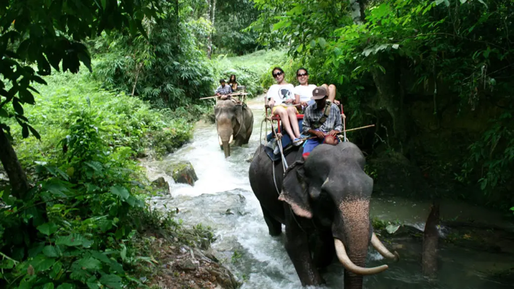 Lac de Cheow Lan - Khao Sok - Krabi Tour collectif avec guide anglophone (à Cheow Lan)