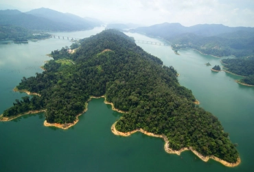 Hauts plateaux de Cameron - Réserve de forêt tropicale de Belum (B, L)