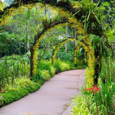 Jardin botanique de Singapour