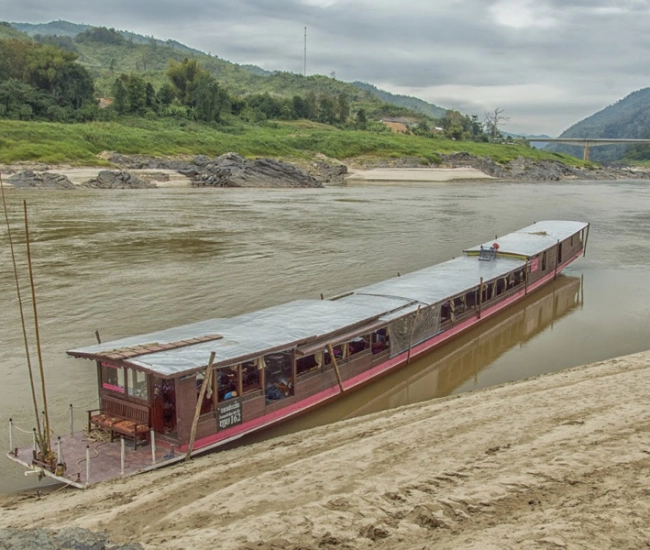 Croisière Shompoo