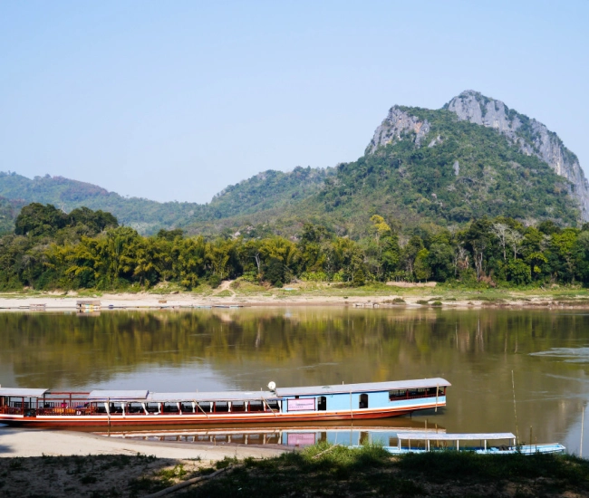 Croisière Shompoo
