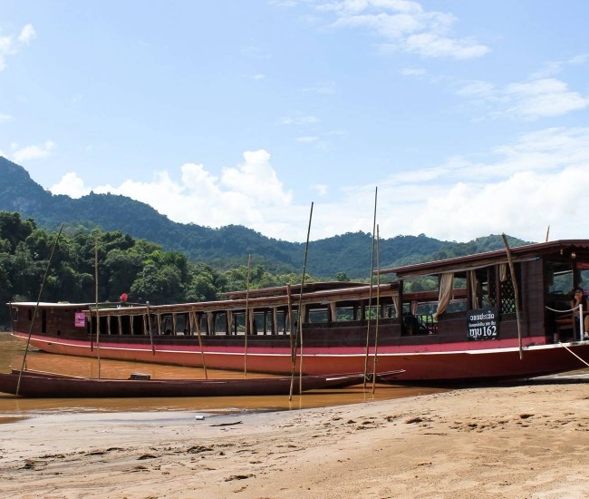 Croisière Shompoo