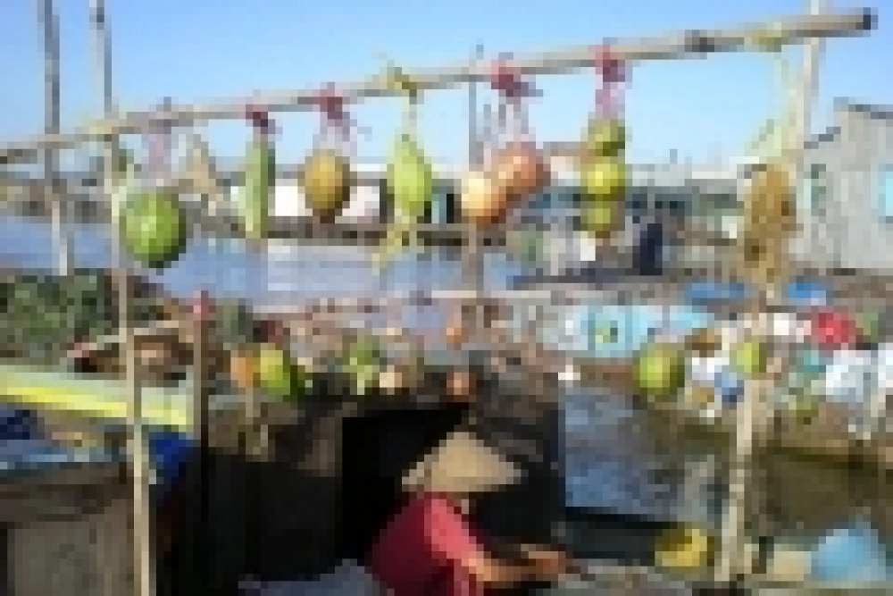 Sa Dec – My Thuan – Cai Be (B, L, D)