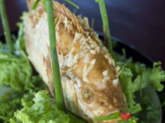 Can Tho – Tra On – Vinh Long – Cai Be - My Tho 3 jours