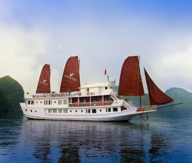 Croisière Flamingo