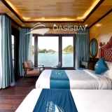 Croisière Oasis