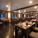 Croisière Stellar