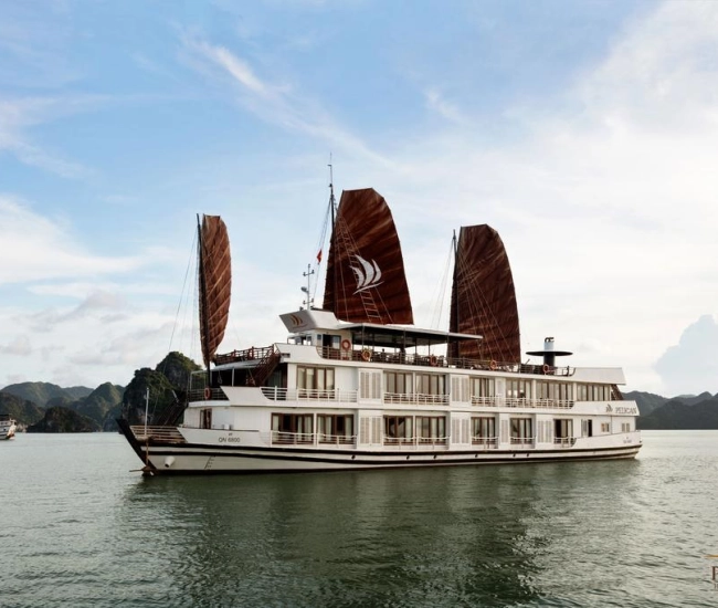 Croisière Pelican