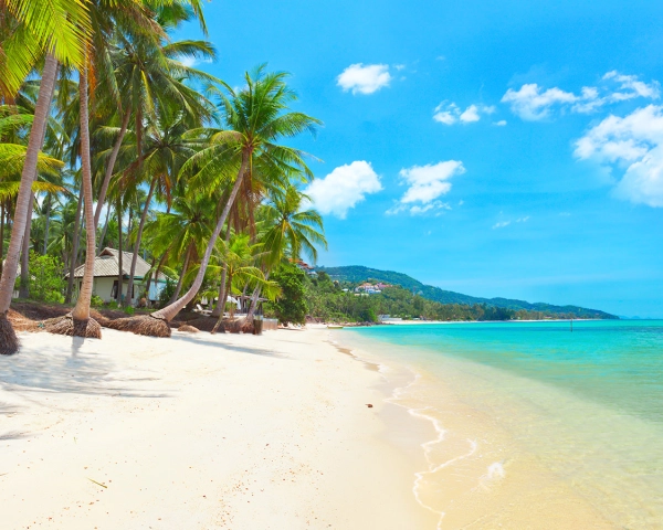 Plage de Koh Samui