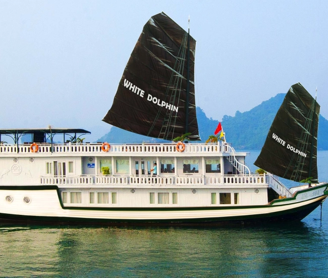 Croisière Legend White Dolphin
