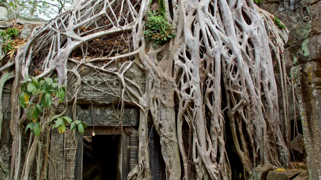 Siem Reap - Complexe d'Angkor Thom