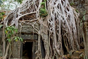 Siem Reap - Complexe d'Angkor Thom (B)