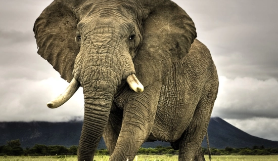 Voyage Centre de Thaïlande 2 semaines :  Aventures en nature et détente balnéaire