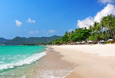 Koh Samui - Retour à Bangkok (B)