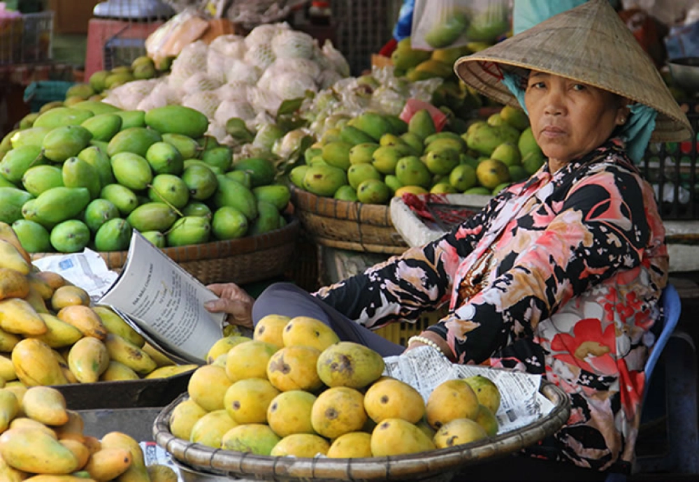 Myaungmya à Bassein (B,L,D)