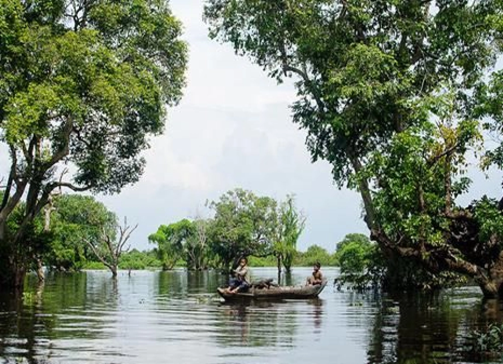 Forêt de Kompong Phluk Inondée et 2 villages